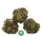 Bootylicious A - Hybrid - Image 2