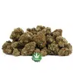 Bootylicious A - Hybrid - Image 3