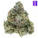 Bubba's Bitch AAAA - Indica