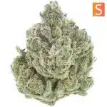Cactus Jack Craft - Sativa