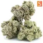 Cactus Jack Craft - Sativa - Image 2