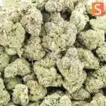 Cactus Jack Craft - Sativa - Image 3