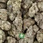 Cake Pop A - Indica - Image 3