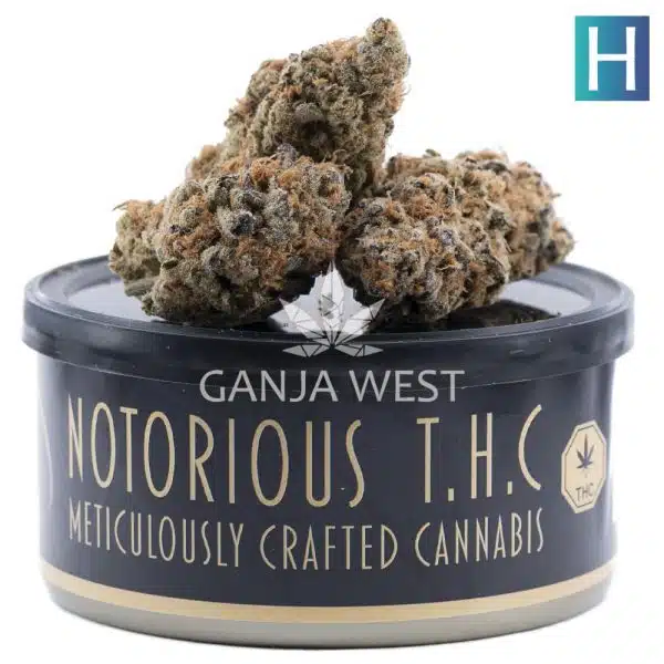 Notorious THC Craft - Ace of Haze (7 Grams)