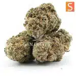 Cheesewreck AAA - Sativa - Image 2