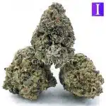 Wholesale - Cluster Fuck - AAA - Image 2