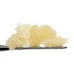 Nerd Rocket Bundle - 1 Gram Random HTFSE Sauce Or Caviar - Image 3