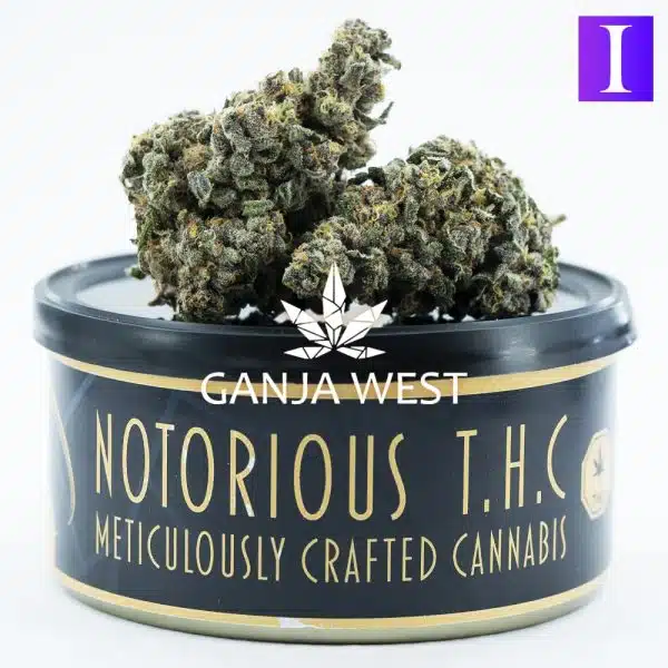 Notorious THC Craft - Peanut Butter Crunch (7 Grams)