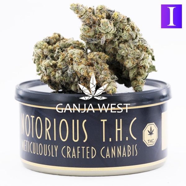 Notorious THC Craft - Sophisticated Lady (7 Grams)