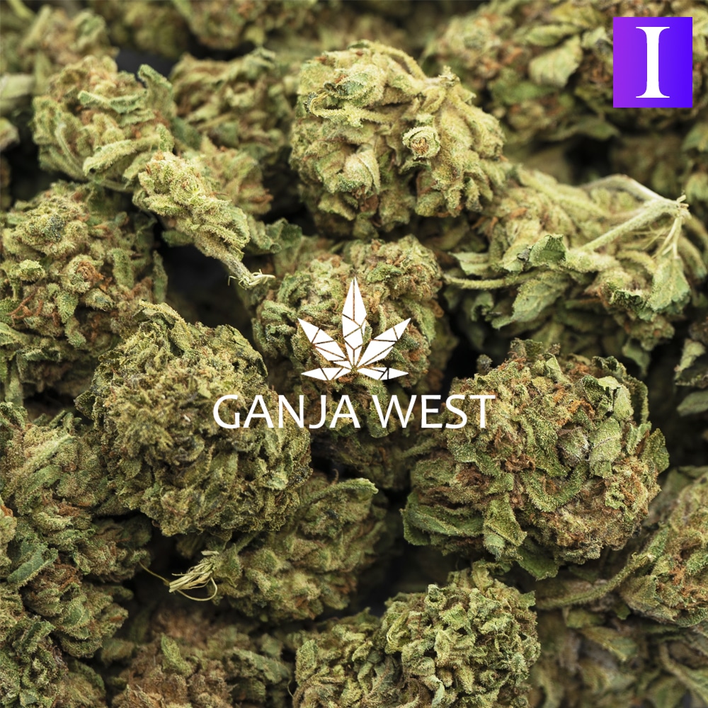 buy-weed-online-dispensary-ganja-west-crop-doctor-a-wholesale-1.jpg