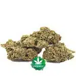 Dank Sinatra AA - Indica - Image 2