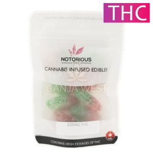 Notorious - THC Strawberry Gummies - 25mg (200MG)