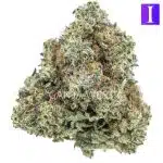 Forest Fire AA - Indica