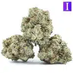 Forest Fire AA - Indica - Image 2
