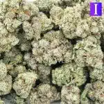 Forest Fire AA - Indica - Image 3