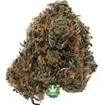 Ghost Rider OG A - Hybrid