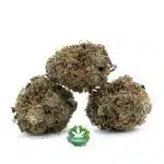 Ghost Rider OG A - Hybrid - Image 2