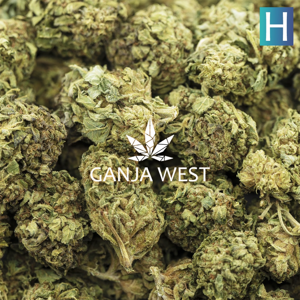 buy-weed-online-dispensary-ganja-west-gobbstopper-a-wholesale-1.jpg