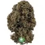 Godfather OG A - Hybrid