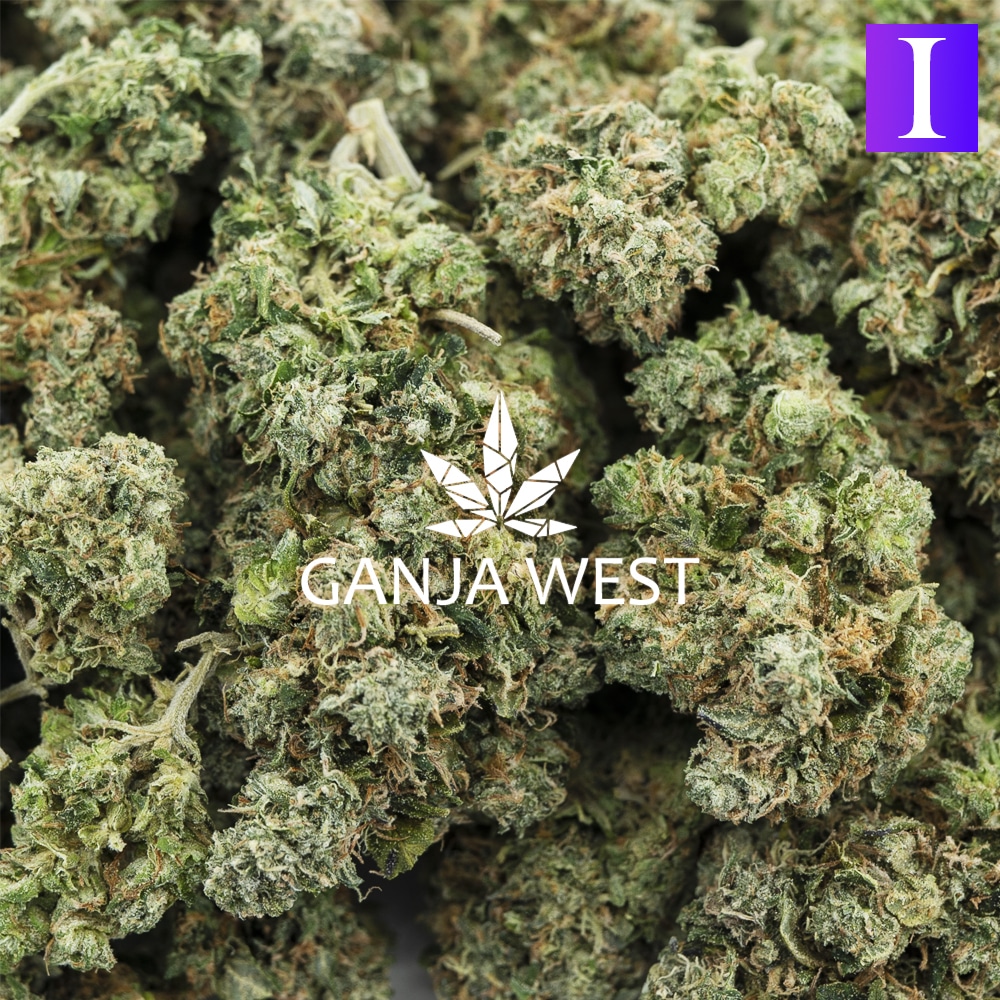 buy-weed-online-dispensary-ganja-west-gods-green-crack-aa-wholesale-1.jpg
