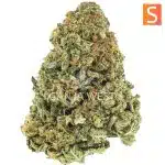 Hawaiian Golden Pineapple AA - Sativa