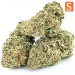 Hawaiian Golden Pineapple AA - Sativa - Image 2