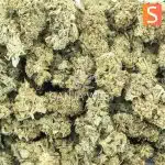 Hawaiian Golden Pineapple AA - Sativa - Image 3