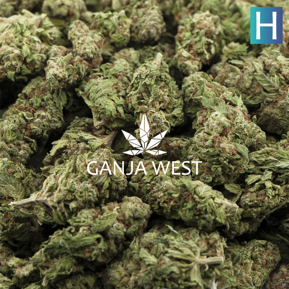 buy-weed-online-dispensary-ganja-west-heavy-duty-fruity-aa-wholesale-1.jpg