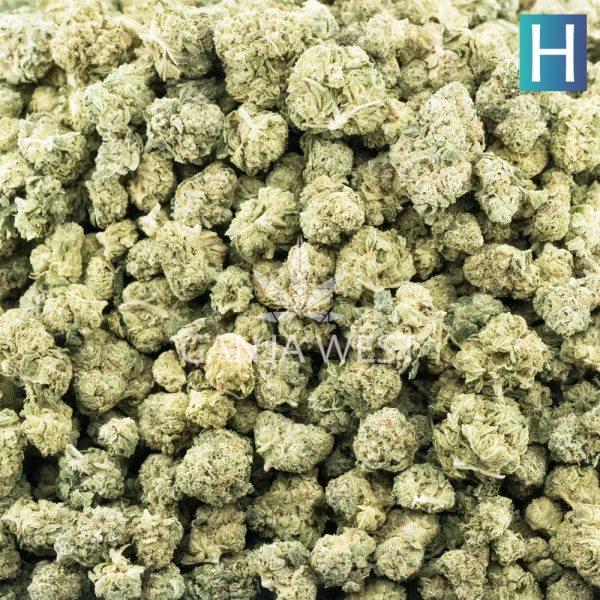 Wholesale Popcorn - Herojuana - AAA