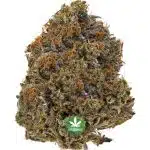 Hippie Crasher AAA - Indica