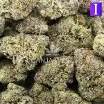 Wholesale - Jaba Stash - AAAA