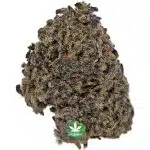 Jamaican Dream A - Sativa