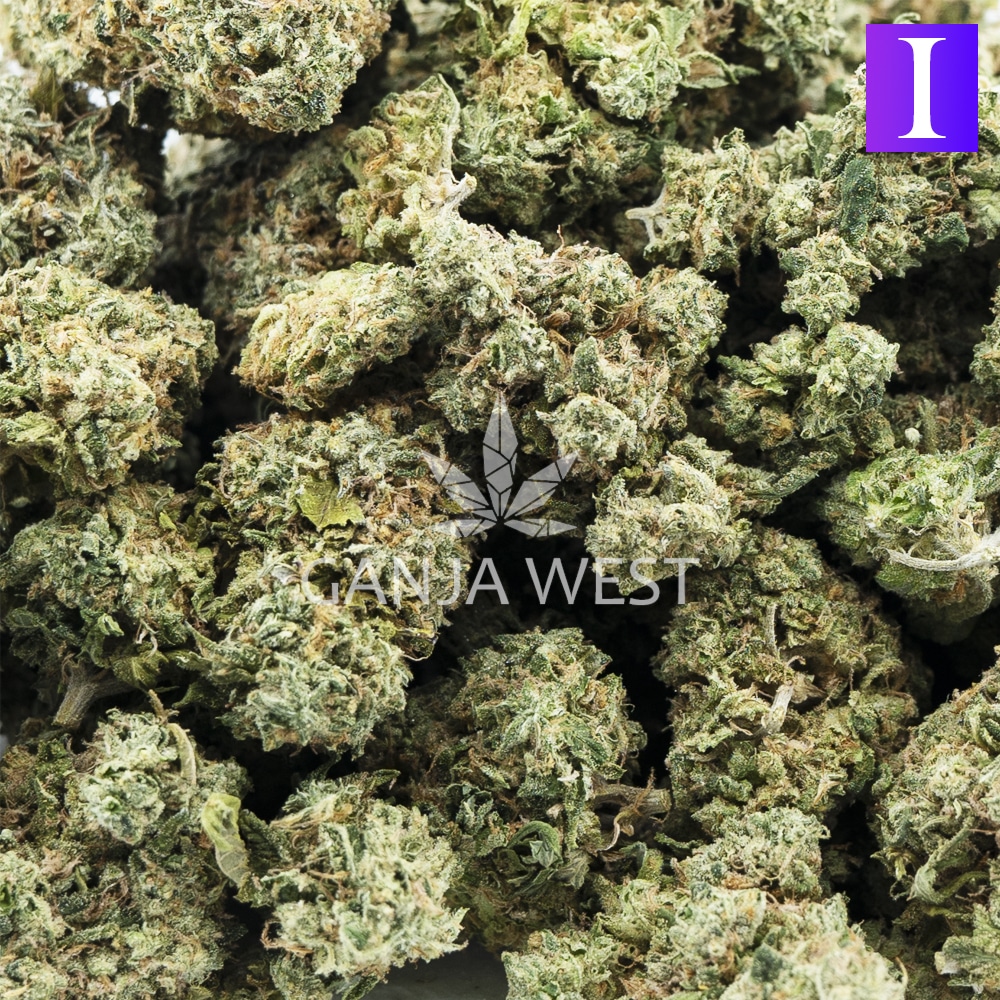buy-weed-online-dispensary-ganja-west-kong-stomper-aa-wholesale-1.jpg