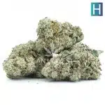 Lemon Buttercream AA - Hybrid - Image 2