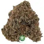 Mac Daddy AA - Indica