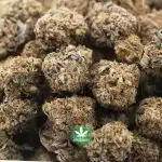 Mac Daddy AA - Indica - Image 3