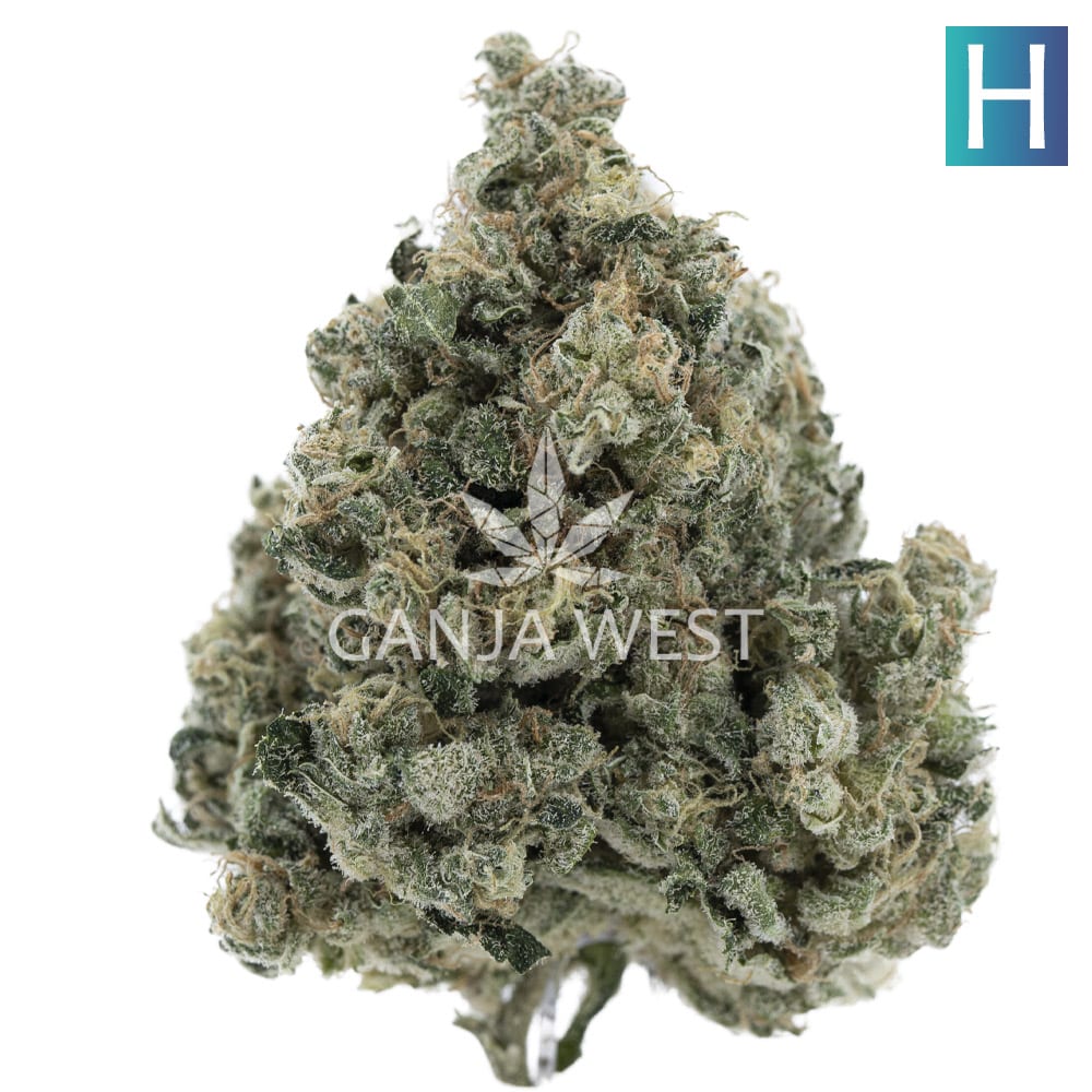 buy-weed-online-dispensary-ganja-west-marijuana-craft-high-school-sweet-heart-1.jpg