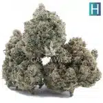 High School Sweetheart Craft- Hybrid - Image 2