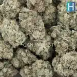 High School Sweetheart Craft- Hybrid - Image 3