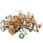 Wholesale - Shrooms - Daddy Long Legs