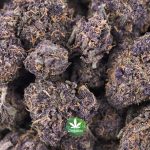 Wholesale – Purple Barney - AAA