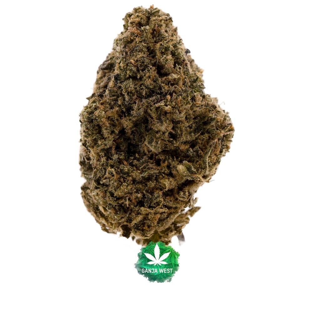 Space Wrangler AA - Sativa - Ganja West Online Dispensary Shop Canada