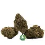 Space Wrangler AA - Sativa - Image 2