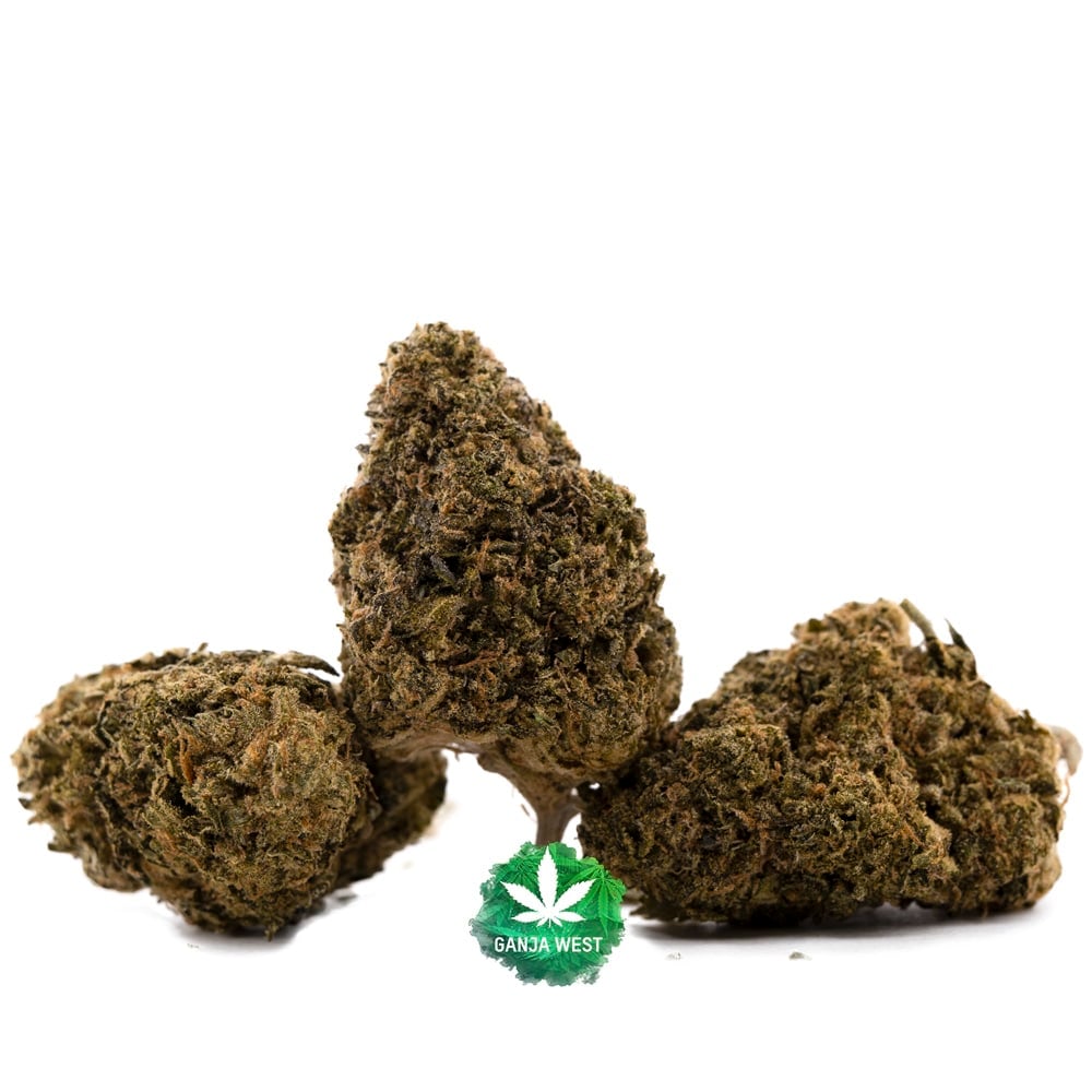 Space Wrangler AA - Sativa - Ganja West Online Dispensary Shop Canada