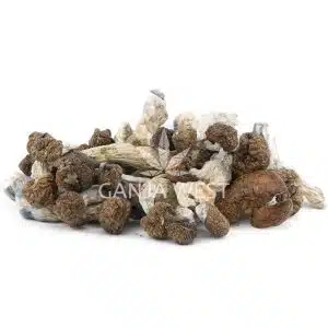 Wholesale Shrooms - Arenal Volcano