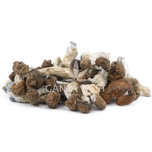 Wholesale Shrooms - Arenal Volcano