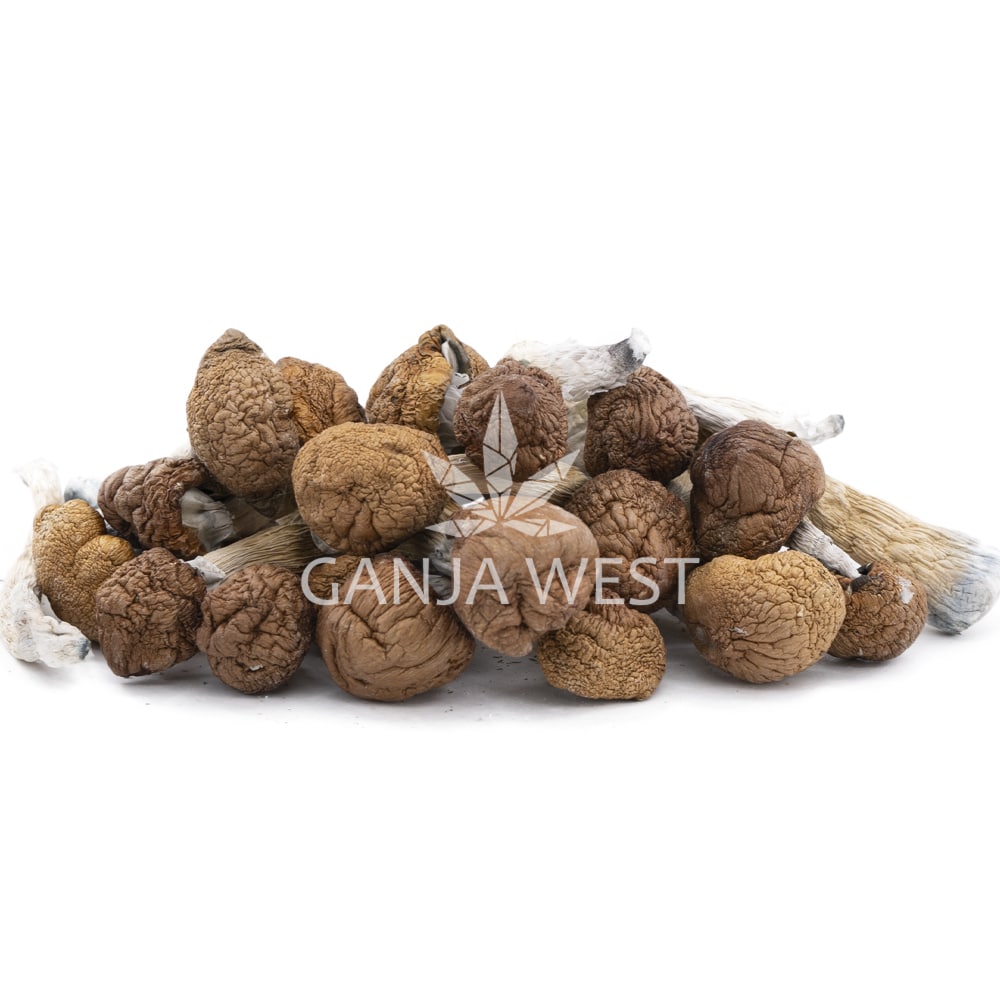buy-weed-online-dispensary-ganja-west-mushrooms-hawaiian-magic-wholesale-1.jpg