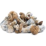 Wholesale Shrooms - Leucistic Penis Envy