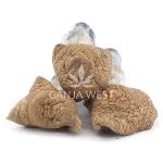 Shrooms - Malabar