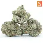 NYC Diesel AAAA - Sativa - Image 2